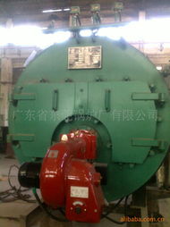 广东省东莞锅炉厂有限公司 专注B级锅炉，匠心铸就品质